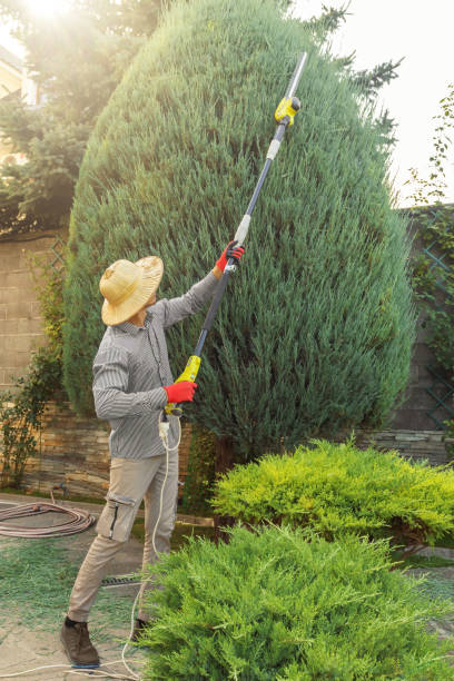 Lawn Watering Services in Imperial, PA